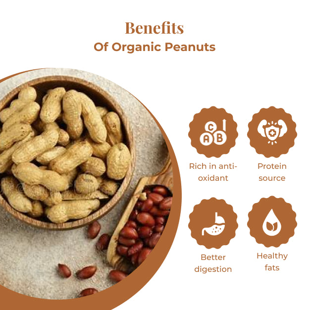 Organic Peanuts (500g)