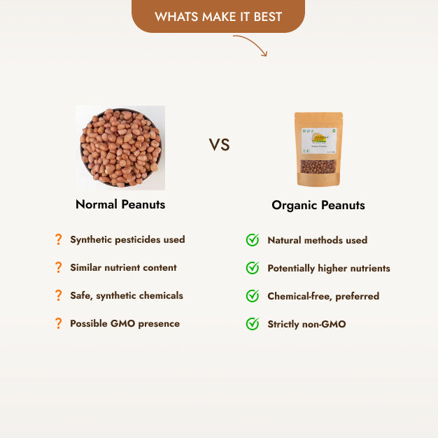 Organic Peanuts (500g)