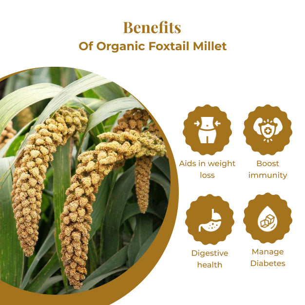 Organic Foxtail Millet (500g)