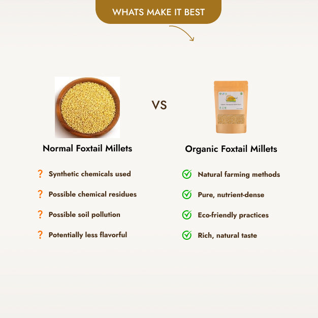 Organic Foxtail Millet (500g)